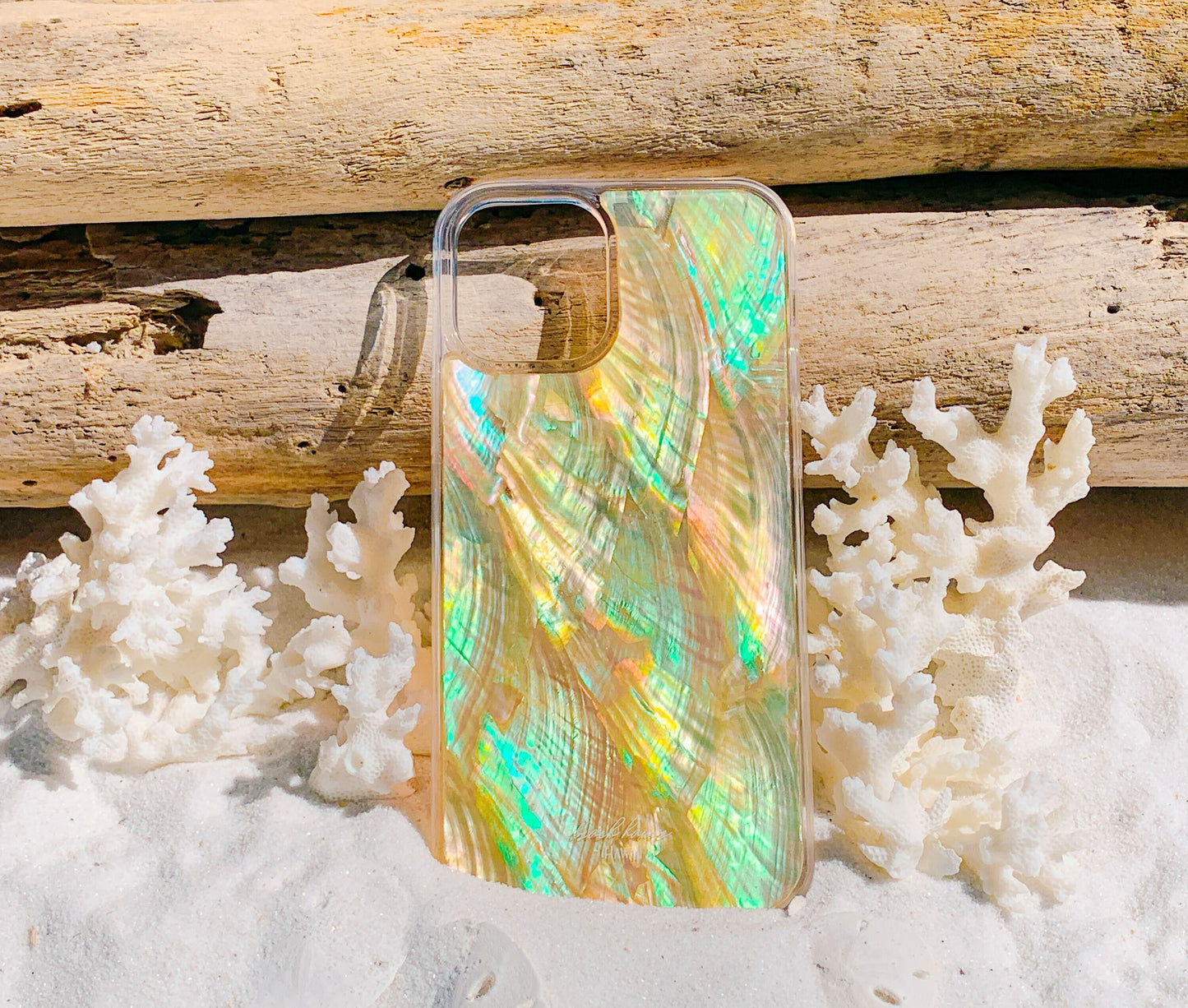 Abalone Shell iPhone 12, iPhone 12 Pro, iPhone 12 Mini, iPhone 11 Pro, iPhone 11 Pro Max Magsafe iPhone Case, Beach iPhone Cover